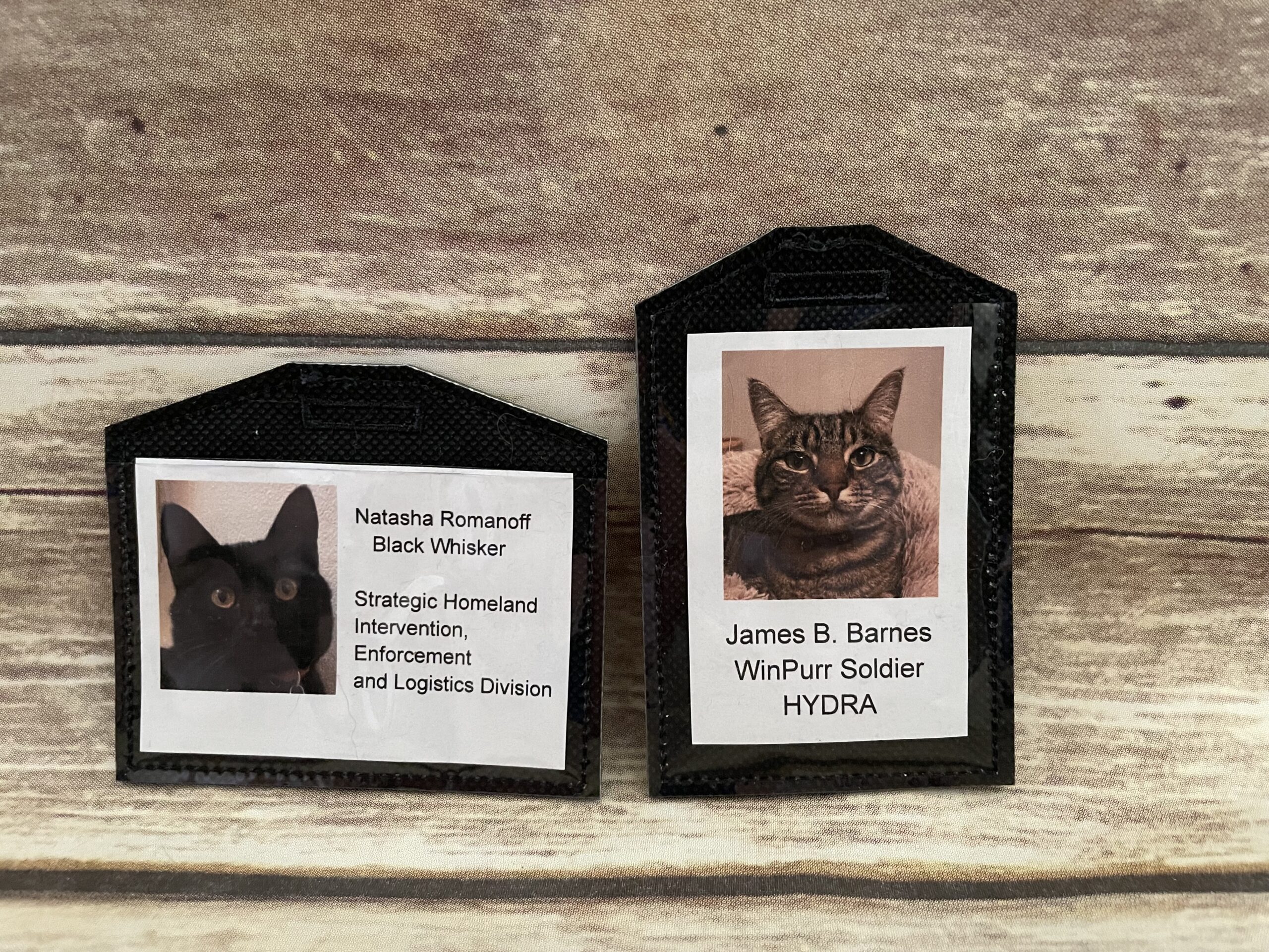 Hello, I'm trying my best ID Badge Holder ITH In The Hoop Digital Download for Machine Embroidery Pattern, Design (4x4 Hoop) - Image 3